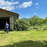 gallery gallery-image
