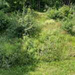 gallery gallery-image