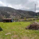 gallery gallery-image