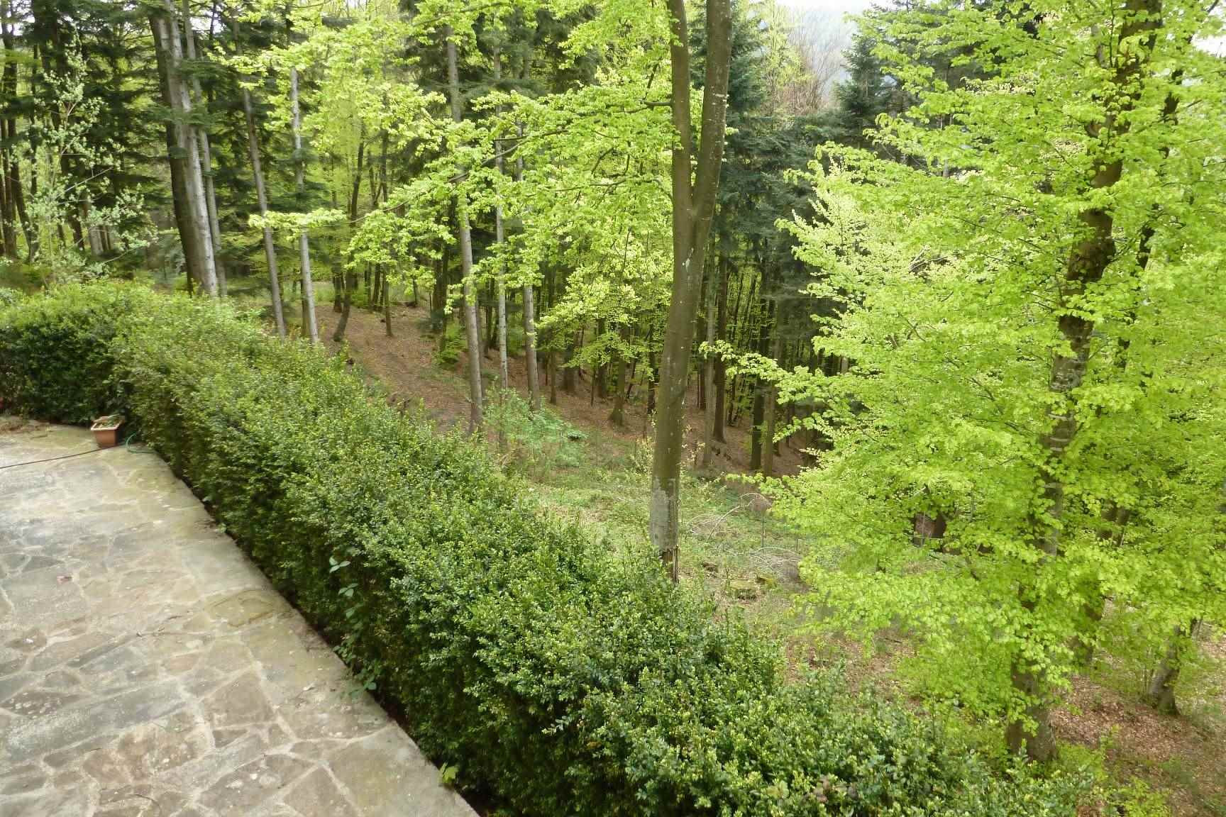 gallery gallery-image