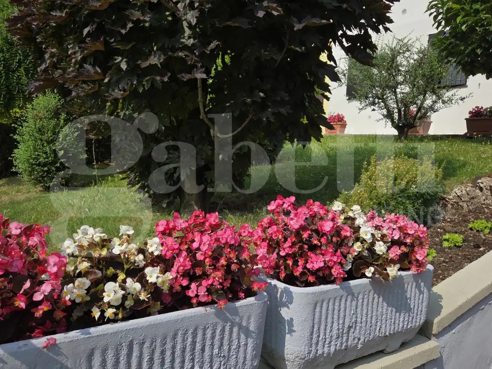 gallery gallery-image