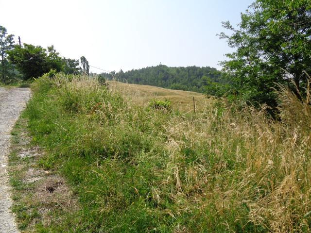gallery gallery-image